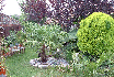 View of garden